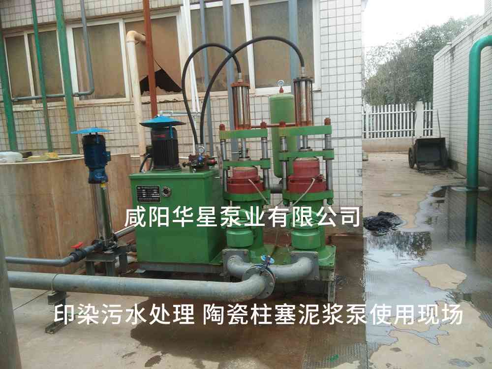 印染污水處理廠使用YBH250-30節能柱塞泥漿泵客戶案例-第二個現場 印染污水處理廠使用YBH250-30節能柱塞泥漿泵客戶案例-第二個現場